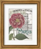 Framed Musical Paris III