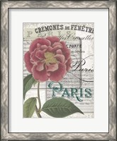 Framed Musical Paris III