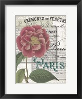 Framed Musical Paris III