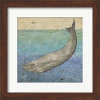 Framed Diving Whale I