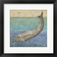 Framed Diving Whale I