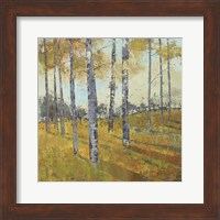 Framed Thicket on the Hill I