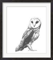 Framed Wildlife Snapshot: Owl