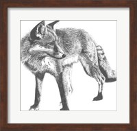 Framed Wildlife Snapshot: Fox