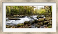 Framed Over Flow Panorama