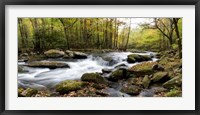 Framed Over Flow Panorama