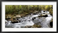 Framed Up the Creek Panorama