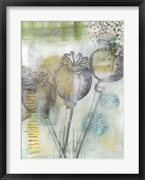 Seed Pod Composition II Framed Print