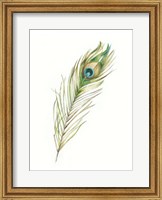 Framed Watercolor Peacock Feather II