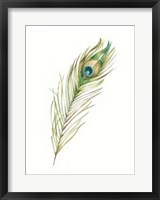 Framed Watercolor Peacock Feather II