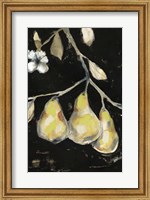 Framed Fresh Pears I