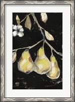 Framed Fresh Pears I