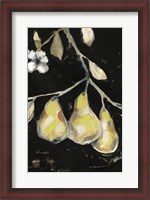 Framed Fresh Pears I