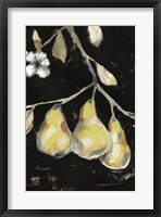 Framed Fresh Pears I