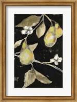 Framed Fresh Pears II