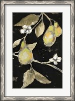 Framed Fresh Pears II