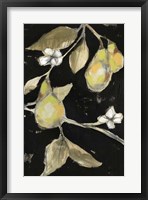Fresh Pears II Framed Print