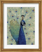 Framed Blue Peacock I