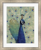Framed Blue Peacock I