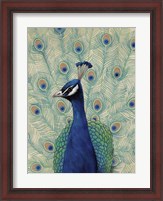 Framed Blue Peacock II