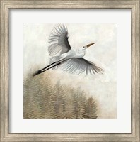 Framed Waterbirds in Mist I