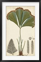 Foliage Botanique I Framed Print