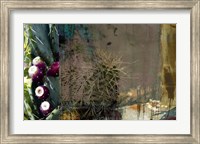 Framed Texas Cactus Collage