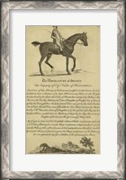 Framed Horse Portraiture V