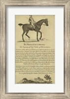 Framed Horse Portraiture V