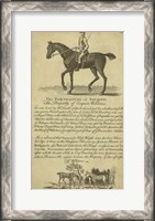 Framed Horse Portraiture VI
