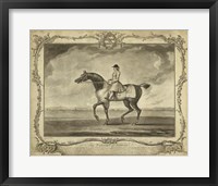 Framed Distinguished Horses II