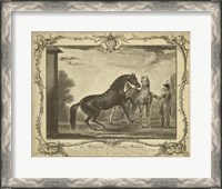 Framed Distinguished Horses III