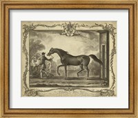 Framed Distinguished Horses IV