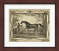 Framed Distinguished Horses IV