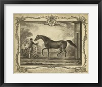 Framed Distinguished Horses IV