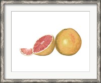Framed Watercolor Grapefruit