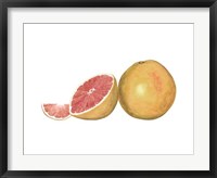 Framed Watercolor Grapefruit