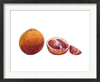 Framed Watercolor Blood Orange