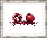 Framed Watercolor Pomegranate