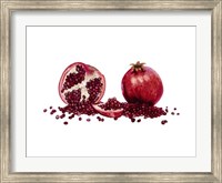 Framed Watercolor Pomegranate