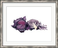 Framed Watercolor Purple Cabbage