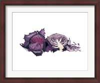Framed Watercolor Purple Cabbage