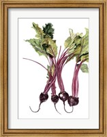 Framed Watercolor Beets