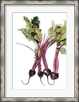 Framed Watercolor Beets