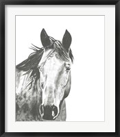 Wildlife Snapshot: Horse I Framed Print