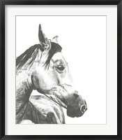 Framed Wildlife Snapshot: Horse II