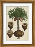 Framed Vintage Tropicals I