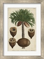 Framed Vintage Tropicals I