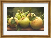 Framed Jill's Green Apples I