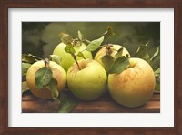 Framed Jill's Green Apples I